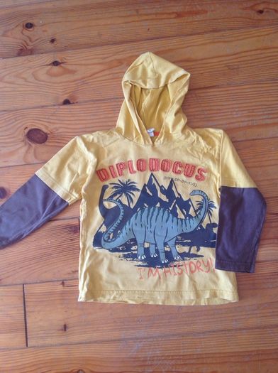 Age 4 Dinosaur Hooded Top