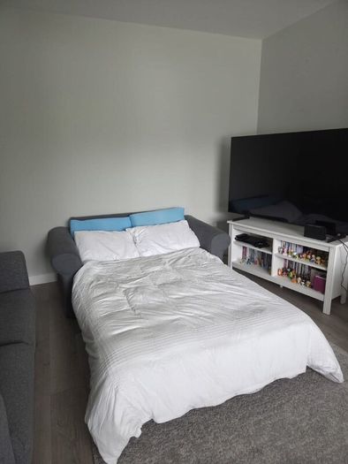 Sleeper sofa
