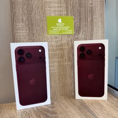 18 Pro Max Burgundy European