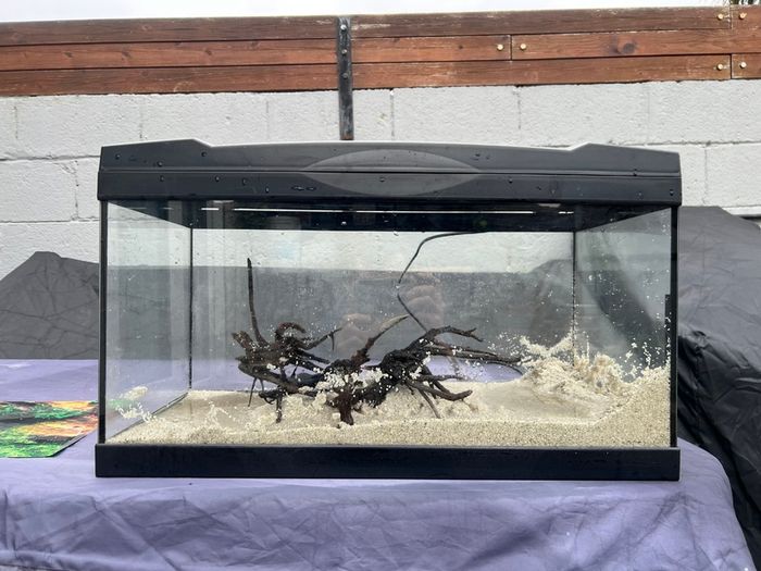 50L Tank W/ Filter & Heater