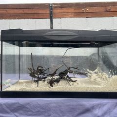 50L Tank W/ Filter & Heater