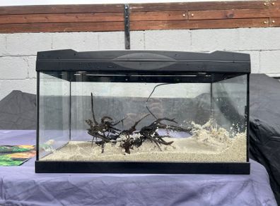 50L Tank W/ Filter & Heater