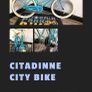 Bicycle for sale Image 5