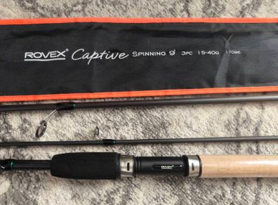 Spinning rod 9'