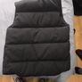 Canada goose Image 5