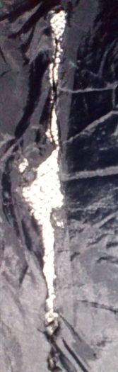 Women's Blazer