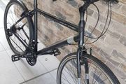 Hybrid bike