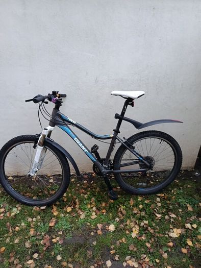 Giant bike