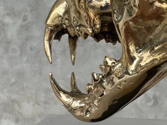 Snow Leopard (19cm) - Polished Bronze