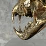 Snow Leopard (19cm) - Polished Bronze Image 8