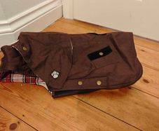Dog Coat