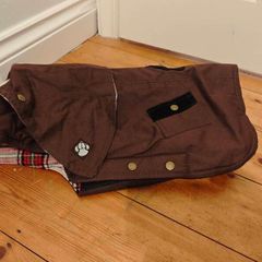 Dog Coat