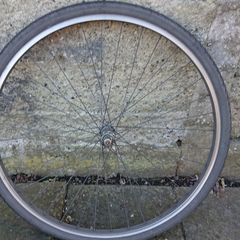 Bike wheel 700x53C