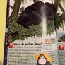 Gorillas and Other Primates Image 3