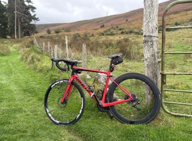 giant defy