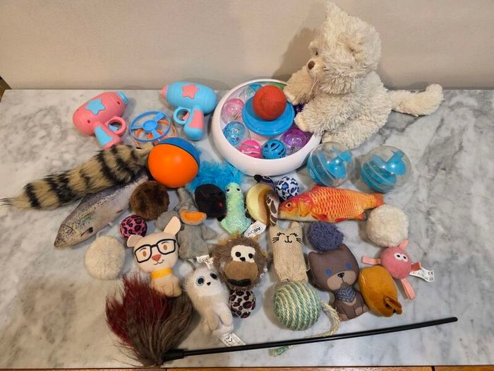 Various Cat Toys