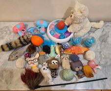 Various Cat Toys