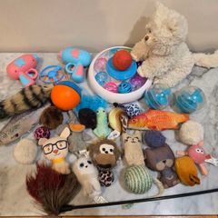 Various Cat Toys