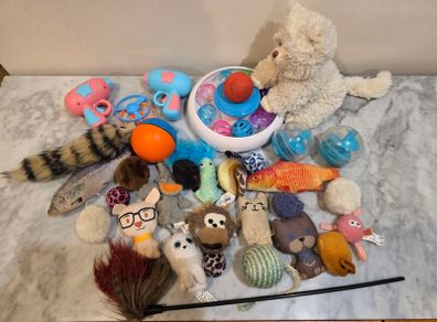 Various Cat Toys