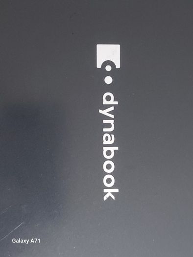 Dynabook Sattelite Pro, Intel Core i3-1005G1 CPU, 1.2GHz, 8GB Ram, 128GB SSD, Windows 10 Pro, Microsoft Edge, Chrome