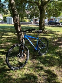 Carrera Mountain Bike  350 ONO