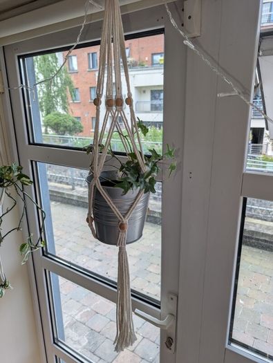 Beautiful hanging plant including pot and hanging basket