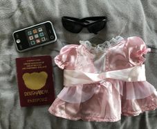 Build the bear accessories