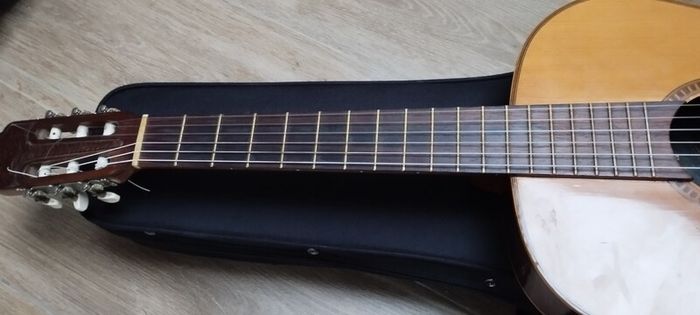 Giannini AWN-31 Bossa Nova guitar