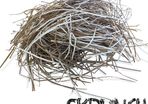 SKRUNCH - Corrugated Box Shredded Paper