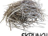 SKRUNCH - Corrugated Box Shredded Paper