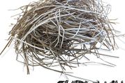 SKRUNCH - Corrugated Box Shredded Paper