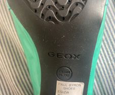Geox Shoes