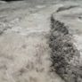 Rug Image 3