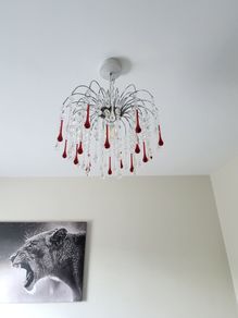 Ceiling Light Shade