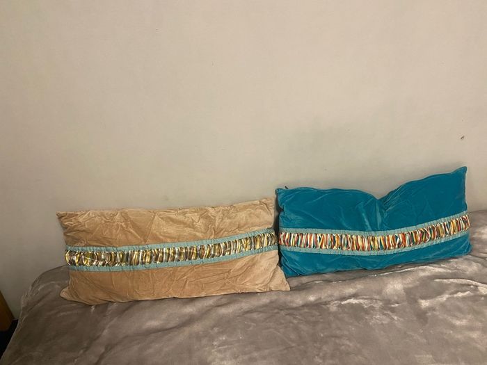 2 Velevt cushions