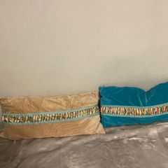 2 Velevt cushions