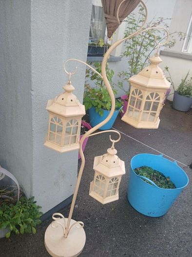 Heavy Lantern (3) Tree