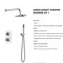 Concealed Shower Image 2