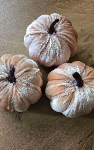 Set of 7 Halloween pumpkins Beige color
