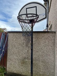 Basketball Net