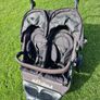 Double Buggy Image 3