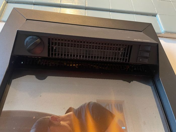 Electric fire insert