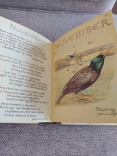 The Country Diary of an Edwardian Lady 1979 by Edith Holden in very good condition with some wear to the dustcover see photos FREE STANDARD POSTAGE INCLUDED
