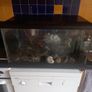 fish tank Image 3