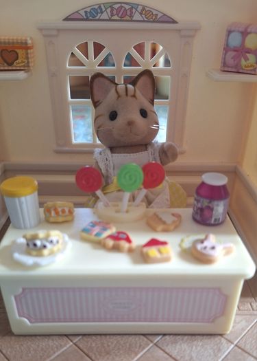 Sylvanian Bundle