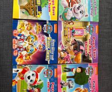 6 Paw Patrol books like new condition