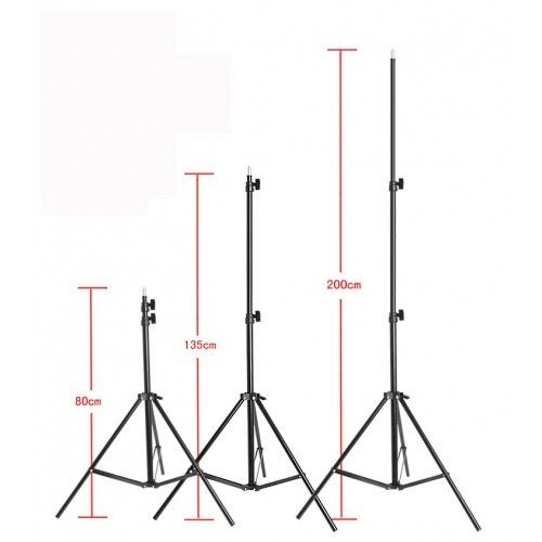44123 2 250W Bulb Continuous Light Photo & Video Studio