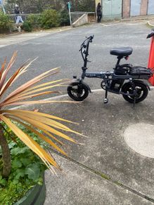 Electric bike