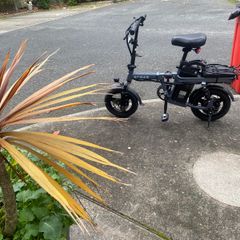 Electric bike