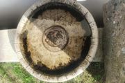 Bird bath